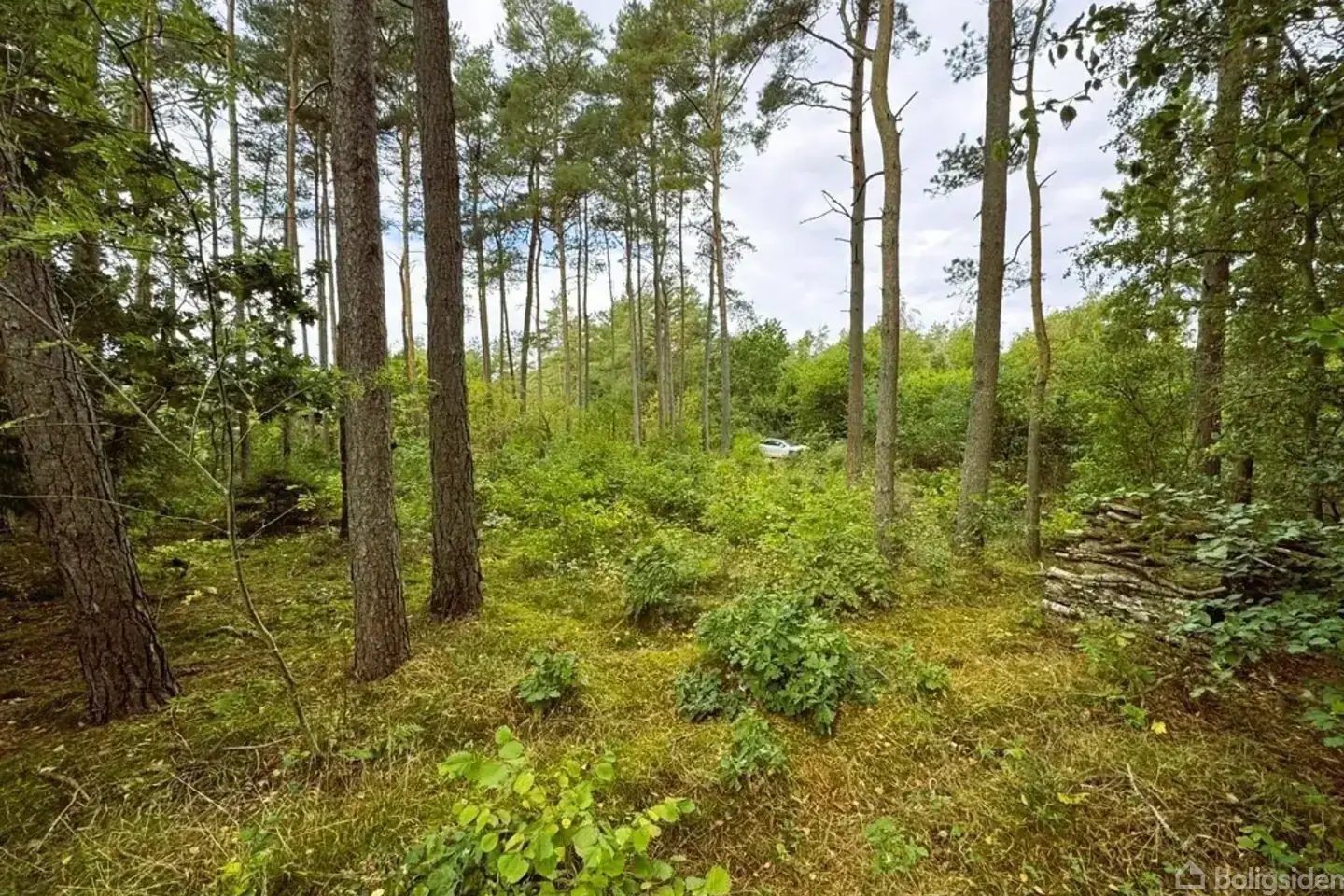 Fritidsgrund på Lyngbakkevej 6, 8400 Ebeltoft