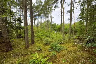 Fritidsgrund på Lyngbakkevej 6, Fuglslev, 8400 Ebeltoft