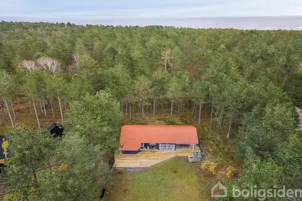 En hytte med rødt tag står omgivet af tæt skov. Hytten har en terrasse foran, og i baggrunden ses skov så langt øjet rækker.