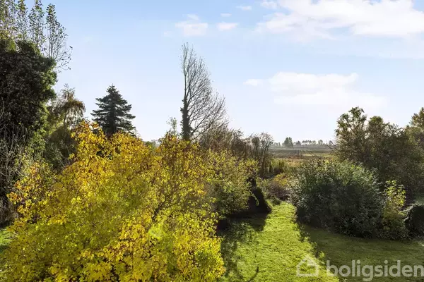 Gule og grønne træer omgiver en smal græssti, der fører mod en åben mark i baggrunden under en lys, blå himmel med få skyer.