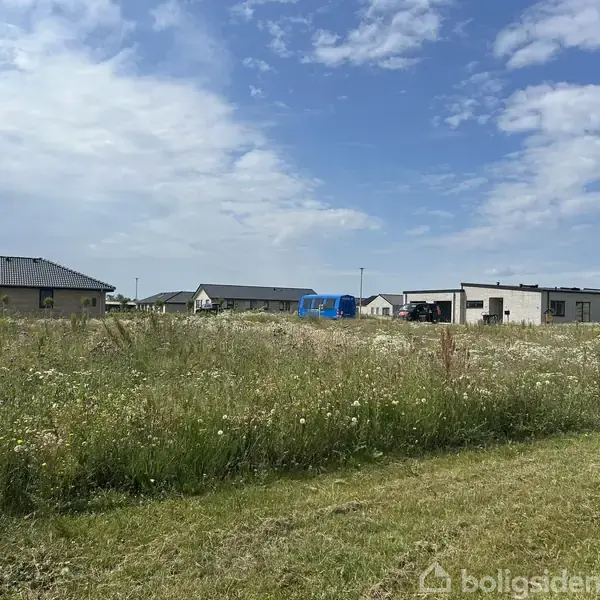 Græsområde med vilde blomster står ubenyttet i forgrunden, mens tre moderne huse med fladt tag og parkerede biler ses i baggrunden under en delvist skyet himmel.