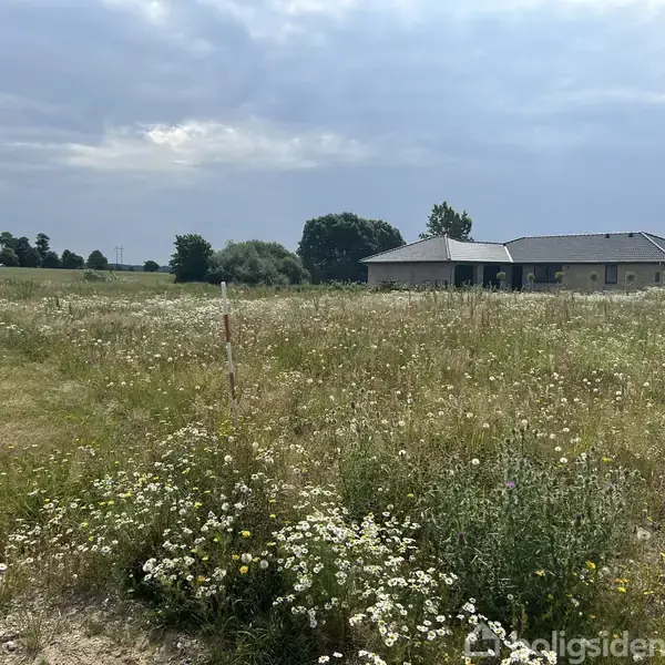 Hus ligger stille i en stor, blomstrende eng med vilde blomster. Træer og marker omgiver området. Skypperne er overskyet, og jorden er dækket af grønt.