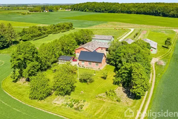 Planteavlsgård/-jord på Mondrupvej 4, 8881 Thorsø