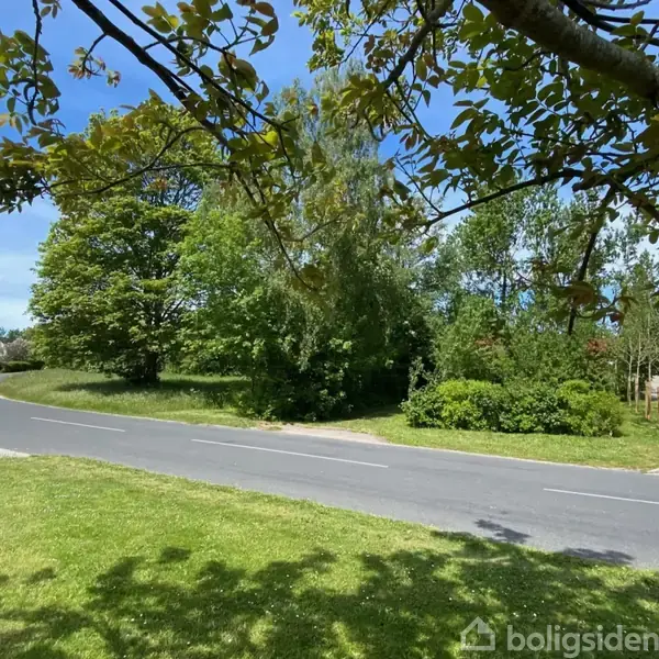 Vej strækker sig gennem grønt landskab med træer og græs under en klar, blå himmel. En grusvej går ind blandt buske og trær.