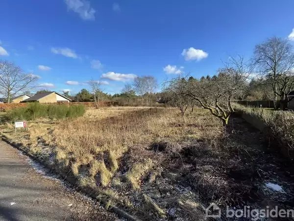 En åben, ujævn mark med sparsom vegetation, omgivet af træer på afstand. Et skilt med teksten "Til salg" står til venstre langs en asfalteret vej under en klar blå himmel.