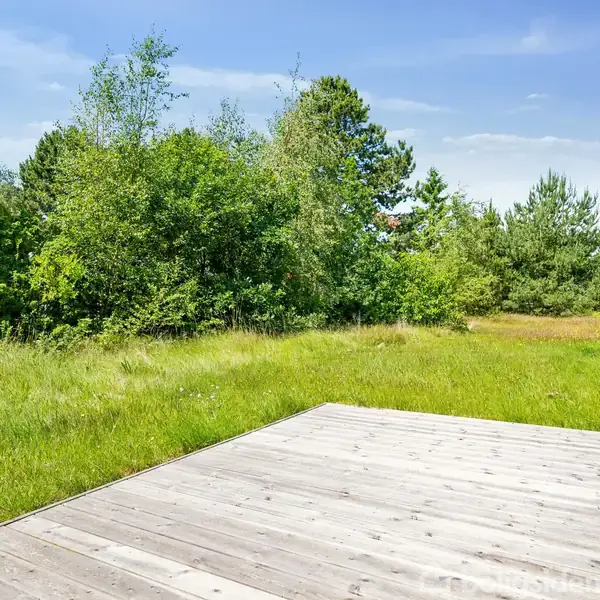Træterrasse ligger stille op til en græsplæne med højt græs og omgivet af tætte, grønne træer; husvæggen ses til højre under en blå himmel.