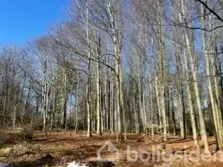 Fritidsgrund på Blåbærvej 11, 9600 Aars