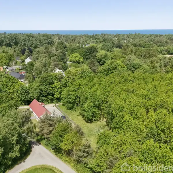 Et hus med rødt tag står stille omgivet af en frodig skov, mens en vej snor sig gennem det grønne landskab, i nærheden af kysten med udsigt til havet i horisonten.