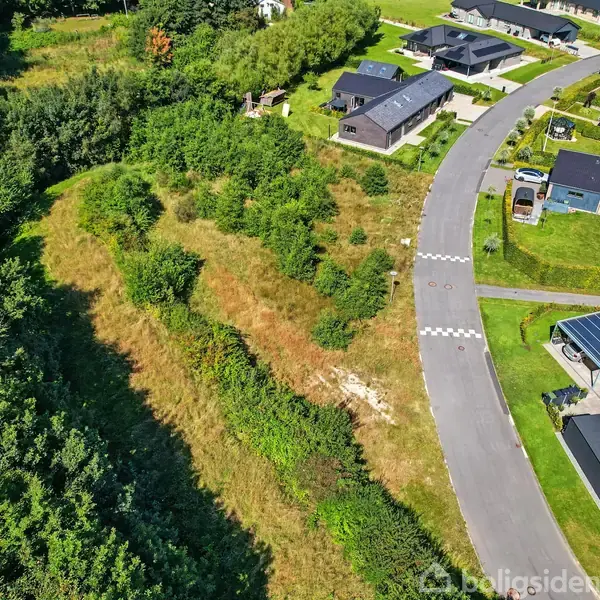 En skovbevokset skråning grænser op til en beboelsesvej med moderne huse i et grønt boligområde.