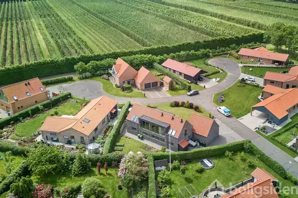 Flere huse med røde tage omgiver en rund vej. Området er frodigt med grønne haver og buske. Baggrunden viser en stor mark med rækker af afgrøder.