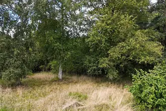 Fritidsgrund på Jonathanvej 11, 3390 Hundested