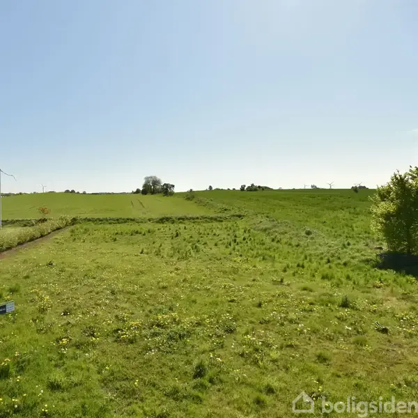 En grøn mark strækker sig ud i det fjerne under en klar, blå himmel. Til venstre ses en vej og et hus. Træer omkranser området.