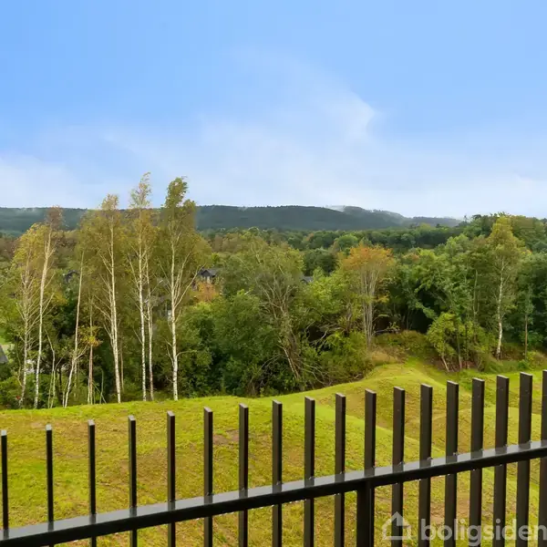 Et sort stålhegn står stille foran en panoramaudsigt af en grøn skov og blåt himmel. Træer i forskellige grønne nuancer fylder horisonten under en let overskyet himmel.
