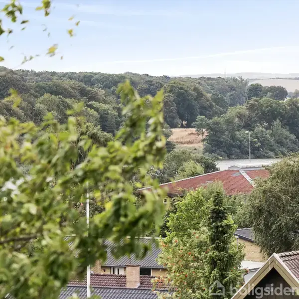 Trætoppe strækker sig opad, omgivet af huse med røde tage. I baggrunden ses tæt skov og en lys himmel.