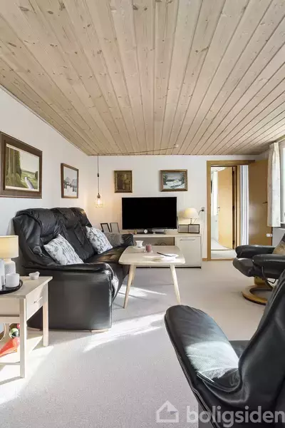 Sort lædersofa står i stue, vendt mod et fladskærms-tv på et lille bord. Rummet har træloft, lyse vægge og flere døre der fører til andre rum.