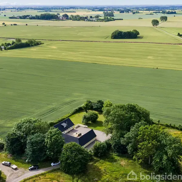 En moderne bygning står omgivet af tætte træer, mens den befinder sig midt i en stor, frodig grønmark med en vej i baggrunden, der strækker sig gennem det landlige landskab.