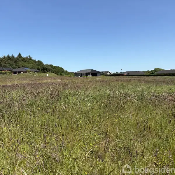 En grøn mark med højt græs fylder forgrunden. Flere lave, mørke huse er synlige i baggrunden. Skoven danner en baggrundsgrænse under en skyfri blå himmel.