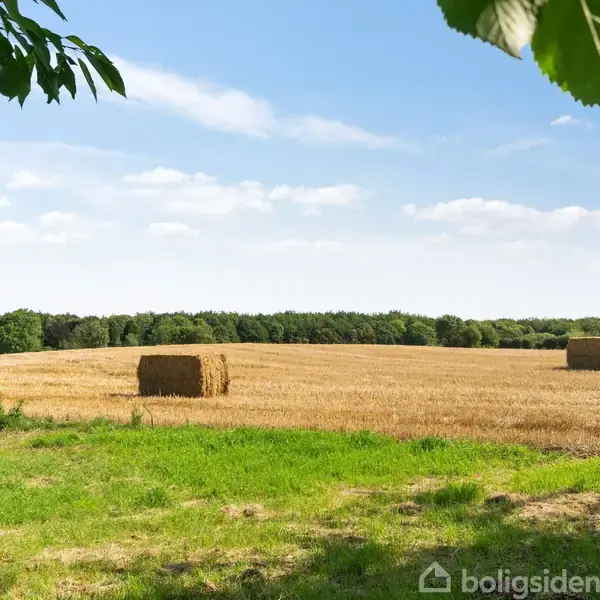 Høballer ligger på en afskåret mark, omkranset af grønne træer og en klar blå himmel.