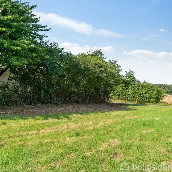 Grøn græsplæne strækker sig ud mod en horisont af buske og træer, hvilket skaber en naturskøn udsigt under en blå himmel med skyer.