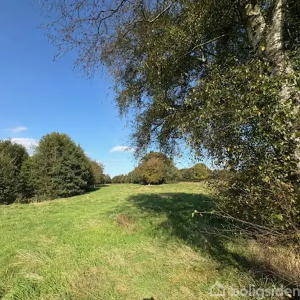 En bred, åben grøn græseng strækker sig ud i det fjerne med træer, der flankerer begge sider, på en solrig dag med klar blå himmel.