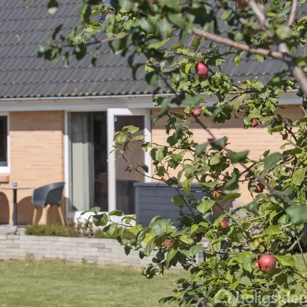 Et æbletræ med røde æbler står i forgrunden, mens en terrasse med to stole ses foran et murstenshus. Sollys oplyser haven og huset i baggrunden.