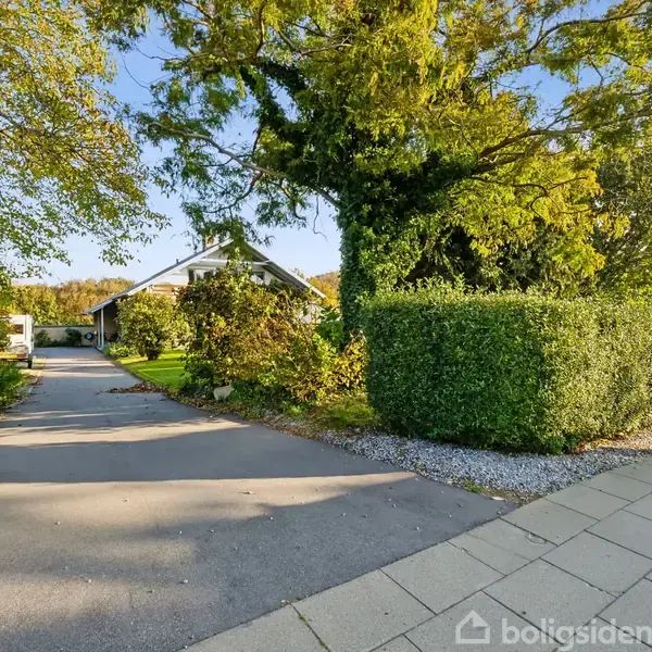 Et hus ses i baggrunden, omgivet af grønne buske og træer. En asfalteret indkørsel fører fra fortovet til huset. Sollys oplyser området.