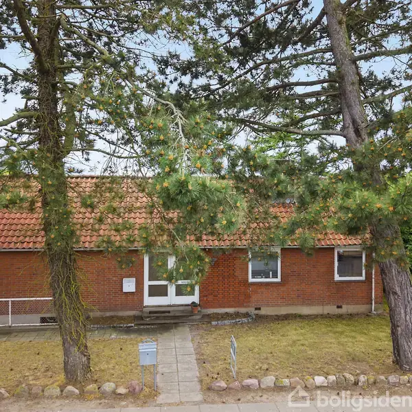 En murstensbygning med rødt tegltag står stille omgivet af store træer. Der er en gangsti foran, og en håndfuld vinduer vender mod beskueren. Træer og græs omfavner huset.