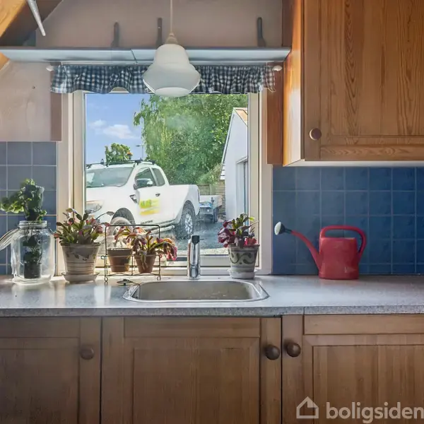 Køkkenvask med planter i potter på en bordplade. En rød vandkande står ved siden af. Udenfor vinduet ses en hvid bil og træer under blå himmel.