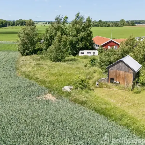 En lille, rustik lade står i en frodig græsmark ved siden af en grøn kornmark. I baggrunden ses et rødt hus og træer under en blå himmel.