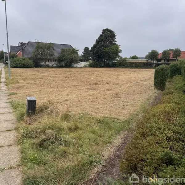 Tomt, åbent græsareal med tørret græs, omgivet af buske og hække. I baggrunden ses huse og træer. En flisebelagt sti løber langs venstre side med en lampe.
