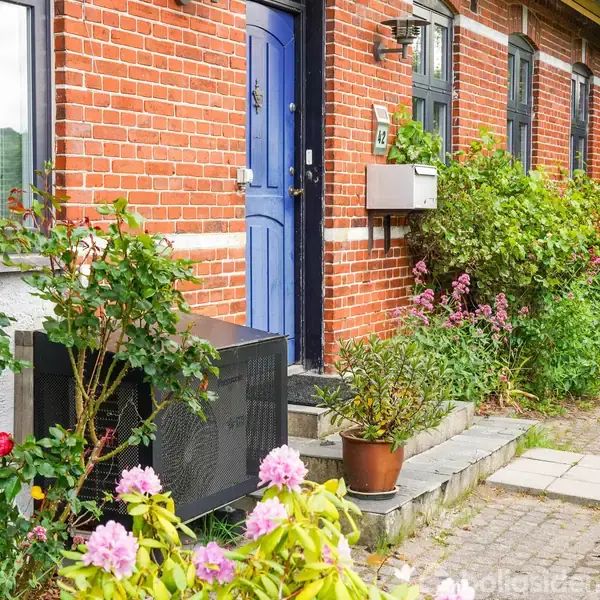 Blå dør flankeret af murstensvæg. Nummer 42 over postkasse. Foran er planter og blomster i potter, omkranset af grønne buske. Trappe fører op til indgangen.