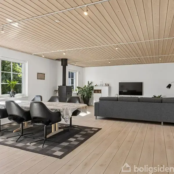 En lys stue med træloft, hvor et stort spisebord med sorte stole står på et tæppe. Sofaen står foran et TV, mens vinduer og planter omkranser rummet.