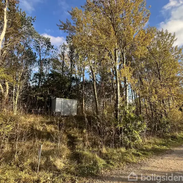 En metalkasse står stille blandt høje træer og buske i et skovområde ved siden af en grusvej under en blå himmel med lette skyer.