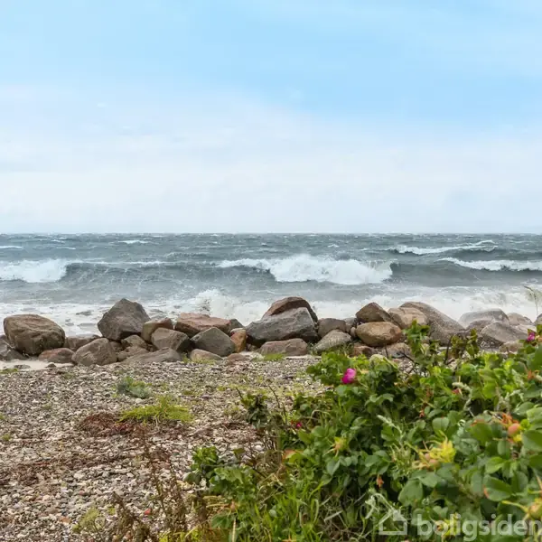 Stenstrand modtager bølger fra havet; blomstrende buske med lyserøde blomster i forgrunden. Horizon markerer mødet mellem det skummende hav og en blå himmel.