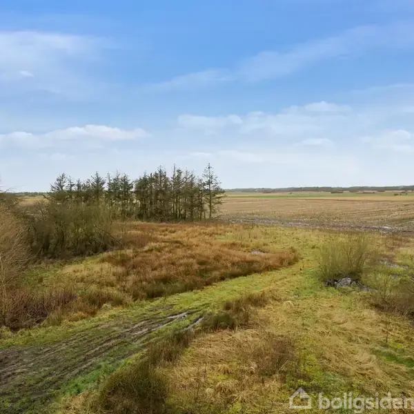Græsmark med spredte buske og træer strækker sig mod horisonten. En grusvej løber langs venstre side af landskabet under en klar blå himmel.
