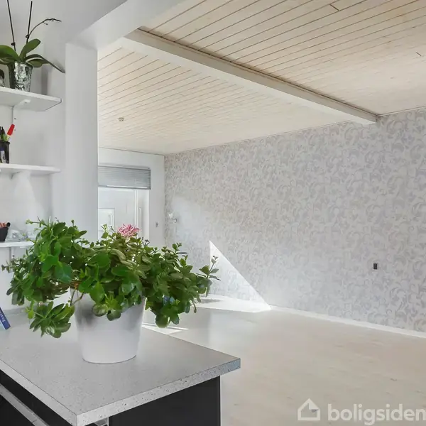 En grøn plante står på en køkkenbordplade nær en åbning til en lys stue med mønstret tapet. Køkkenet har åbne hylder med bøger og redskaber.