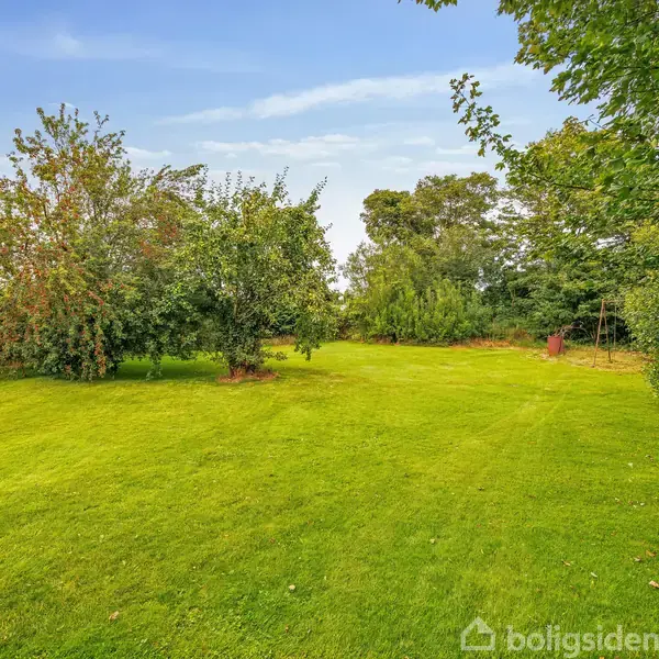 En grøn græsplæne ligger stille omgivet af tætte, frodige træer under en klar blå himmel, uden synlige bygninger tæt på.