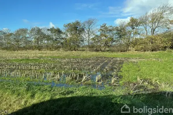 Planteavlsgård/-jord på Bundgårdvej 6, 7570 Vemb