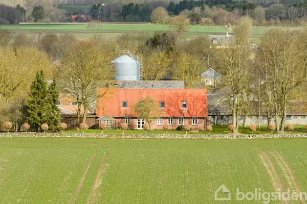 Planteavlsgård/-jord på Sjellevej 7, 8450 Hammel