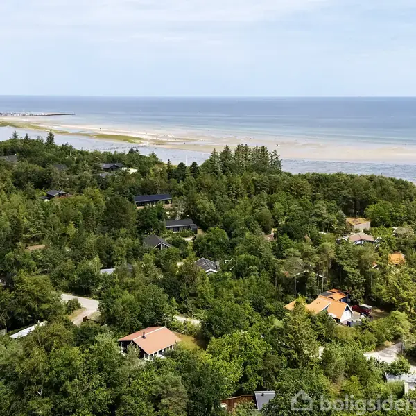 Luftfoto af skovrigt kystområde med spredte huse. Husene er omgivet af frodig vegetation tæt ved stranden og havet i baggrunden.
