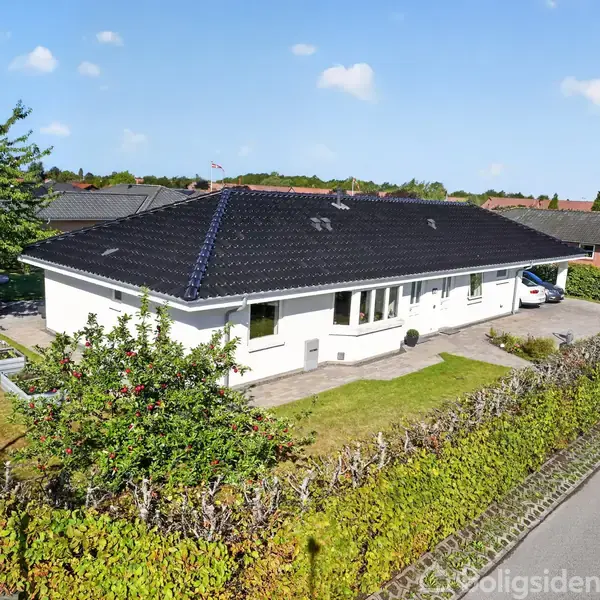En hvid, moderne bungalow med sort tag står fredeligt, omgivet af en velplejet hæk. Sollys bader huset, og en stille vej ses i forgrunden.