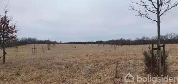 En åben mark med spredte, små træer står stille i en flad, vintergrå landskab. I baggrunden ses en skovgrænse under en overskyet himmel.