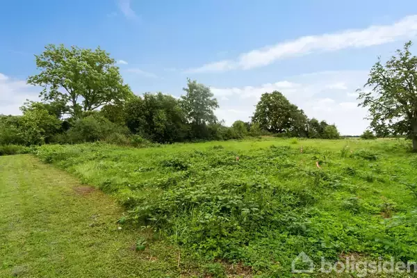 Grønt græsområde breder sig ud med spredte buske og træer, der skaber en naturlig grænse, under en klar blå himmel med få skyer.