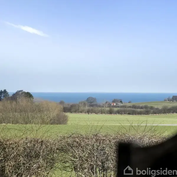 Havet er synligt i horisonten, mens en grøn mark med spredte buske strækker sig i forgrunden under en klar blå himmel.
