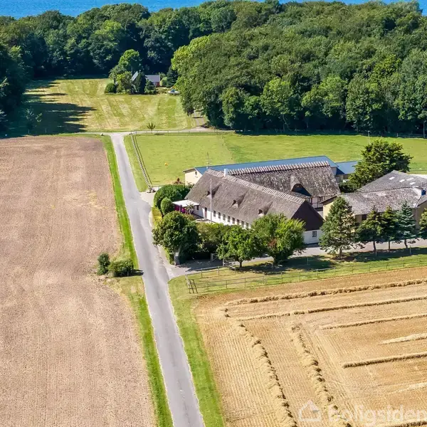 En stor gård ved en landevej omgivet af marker. Gården har flere bygninger med skrånende tage. I baggrunden ses en skov, og markerne er nyhøstede.