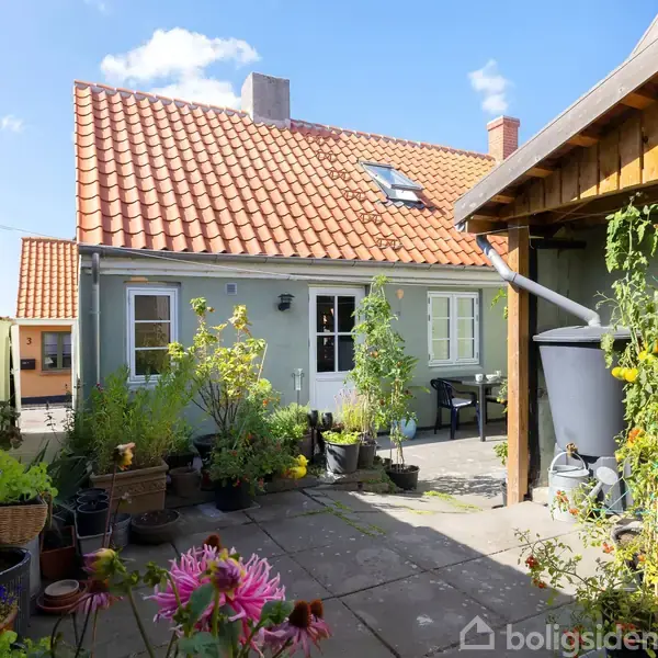 Et hyggeligt, åbent gårdmiljø med blomster og planter i krukker. Et blåt hus med rødt tegltag i baggrunden. Der er også en træbeklædt skurvæg med en regnvandstønde.