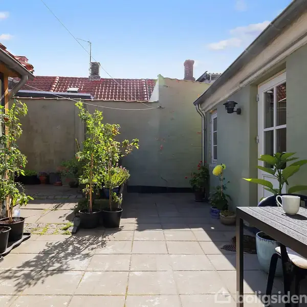En gårdhave med planter i krukker opstillet langs væggen. Et bord med kop og skål står til højre. Himlen er klar, og solen skinner.