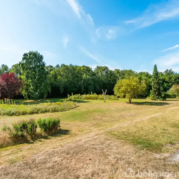 Græsplæne med varieret vegetation i en park; omkranset af forskellige træer og buske under en klar blå himmel.