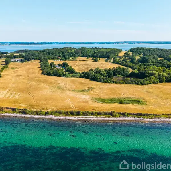 Stranden grænser til en klar, turkisblå havstrækning. Bagved strækker gyldne, åbne marker sig, som omkranses af tætte, grønne skove i en rolig, naturlig omgivelse.