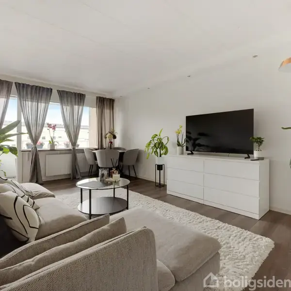En komfortabel stue med en grå sofa og fladskærms-TV på en hvid kommode. Grønne planter tilføjer liv, og store vinduer med gardiner bringer lys ind i rummet.